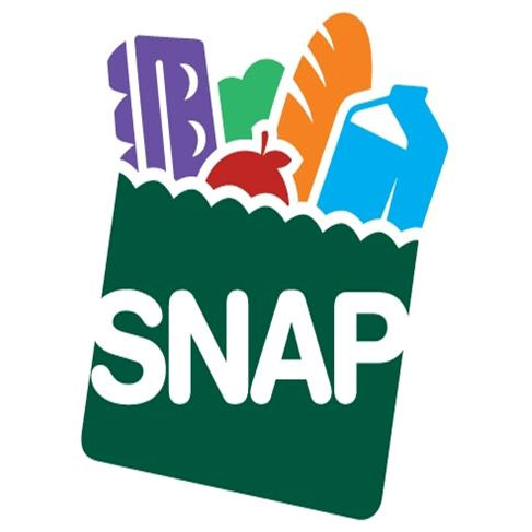 snap benefits louisiana